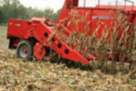 Уборка кормовой кукурузы