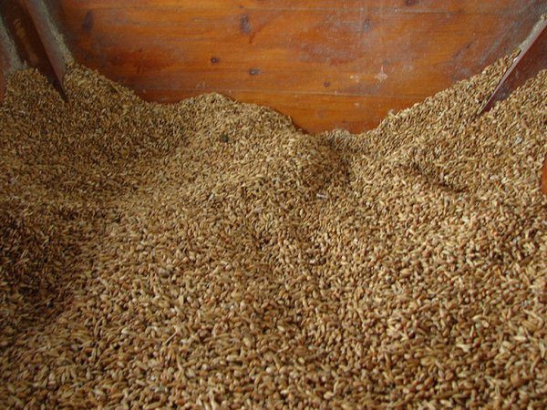 ВАМИН отказался вернуть зерно миром