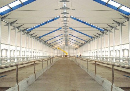 Новый молочный комплекс в Оренбурге