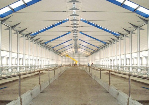 Новый молочный комплекс в Оренбурге