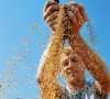 Интервенции зерна возможны уже в октябре