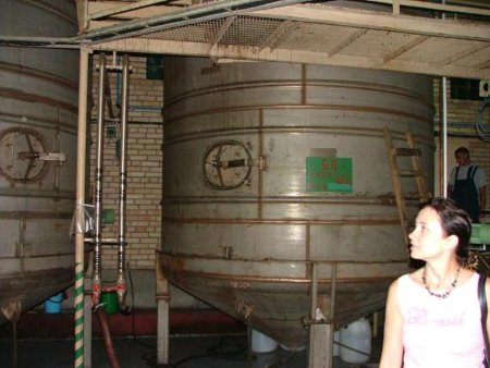 Анализ рынка промышленных виноматериалов в России в 2006-2010 гг