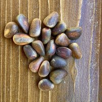 Кедровый орех