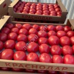 Помидоры