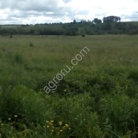 Участок с.х. назначения 5, 5 га