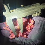 Гибриды Семена кукурузы Кабардинская 38/12 ФАО 480