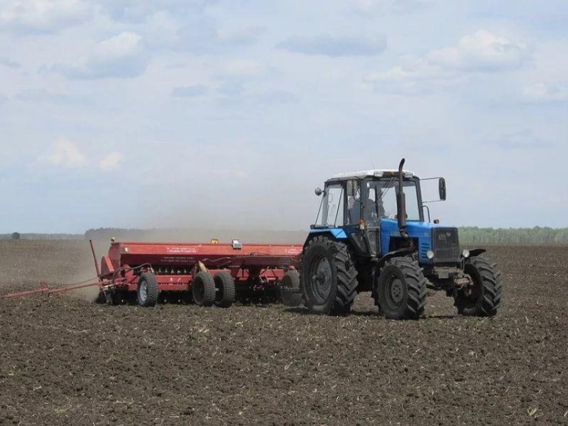 Динамика цен и прогнозы на урожай - Краткий обзор рынка зерновых