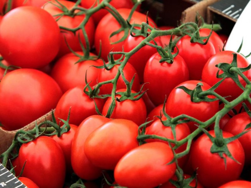 Овощеводы берут цены под контроль, - Краткий обзор рынка овощей