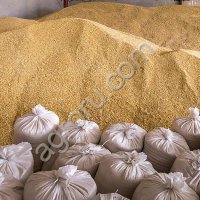 Пшеница 3й класс