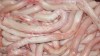 Говяжья книжка (beef Omasum), свиные ноги