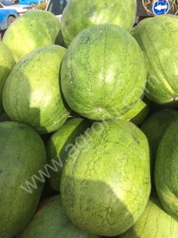Арбузы