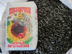 Семечки подсолнечника (подсолнух кондитерский)