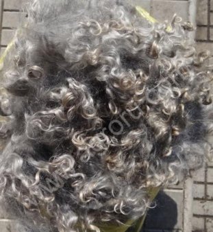 Козий пух с коз придонской породы