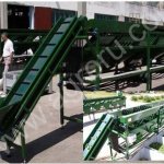 Калибратор-сортировщик огурцов (моркови)