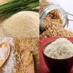 Рис круглозерный ГОСТ