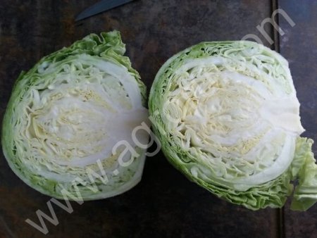 Капуста белокочанная