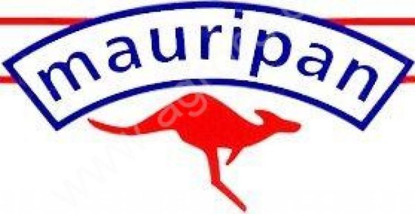 Дрожжи сухие Маурипан