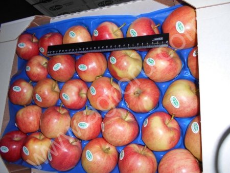 Яблоки Гала все калибры