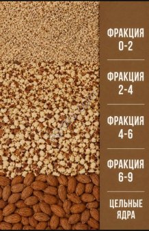 Сорт миндаля Форос и Антик