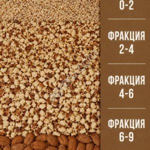 Сорт миндаля Форос и Антик