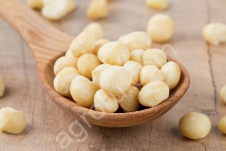 ОРЕХ МАКАДАМИЯ очищенный