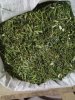 Подмаренник желтый (цвет)