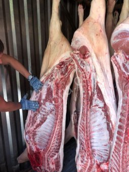 Свинина полутуши охлажденка заморозка