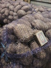 продовольственного картофеля оптом и в розницу