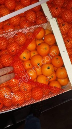 Мандарины,клементины