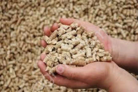 шрот, жмых, масло, бобы соевые