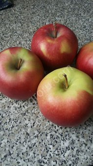 Яблоки