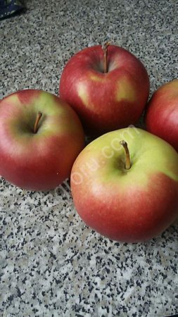 Яблоки