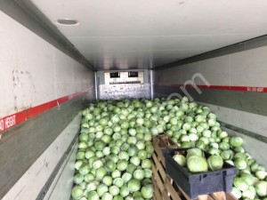 Капуста Оптом