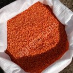 Чечевица красная