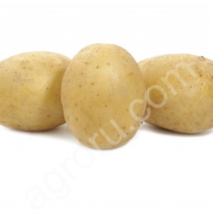 Семенной картофель Тукан