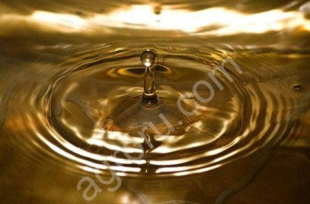 Масло подсолнечное нерафинированное