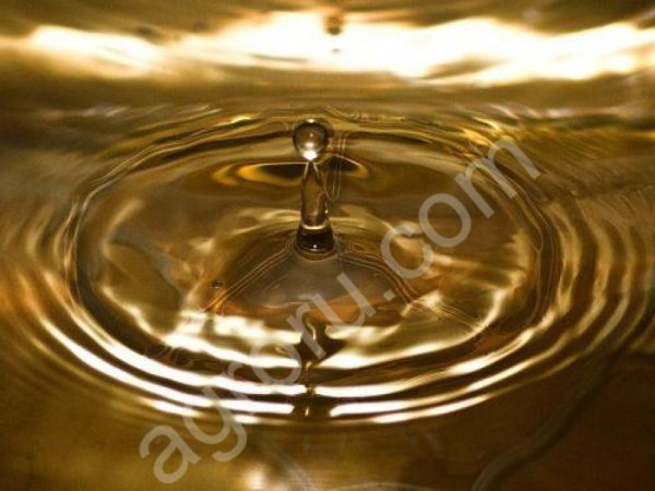 Масло подсолнечное нерафинированное