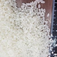 Рис Гост; ТУ