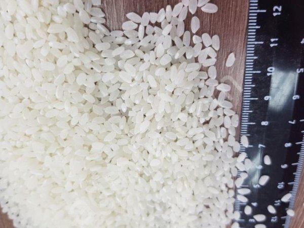 Рис Гост; ТУ