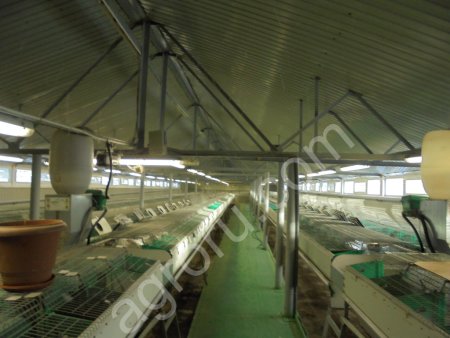 Клетки для кроликов