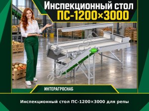Инспекционный стол ПС-1200×3000 для репы