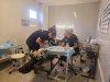 Воспроизводство стада: Лапароскопическое осеменение, эмбриотрансплантация