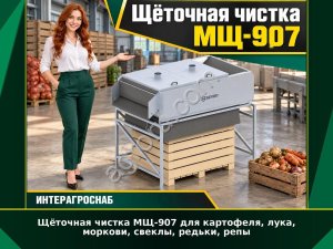 Щёточная чистка МЩ-907 для картофеля, лука, моркови, свеклы, редьки, репы