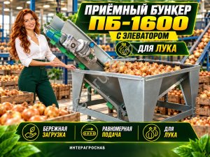 Приёмный бункер ПБ-1600 с элеватором для лука