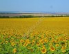 Земельный актив 606 га + производственная база, Саратовская область
