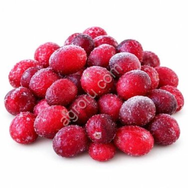 Клюква замороженная оптом