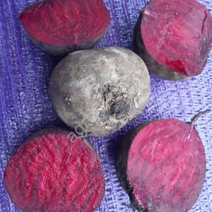 Свекла свежая оптом от производителя (Сызранский район, Самарская область)