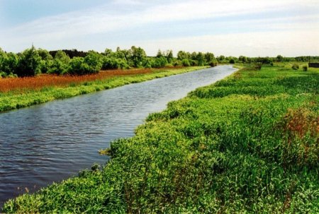 Лейки по цене космических кораблей