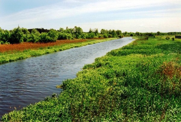 Лейки по цене космических кораблей