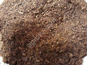 СУХАЯ ПАТОКА